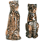 Cheetahs 27066 from WSO