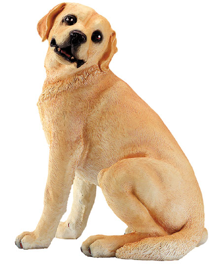 Golden Labrador 30423 from WSO