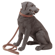 Labrador Retriever 30424 from WSO