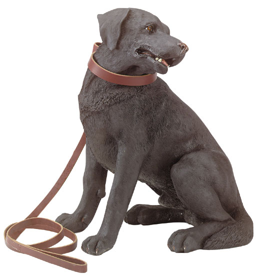 Labrador Retriever 30424 from WSO