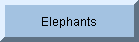 Elephants